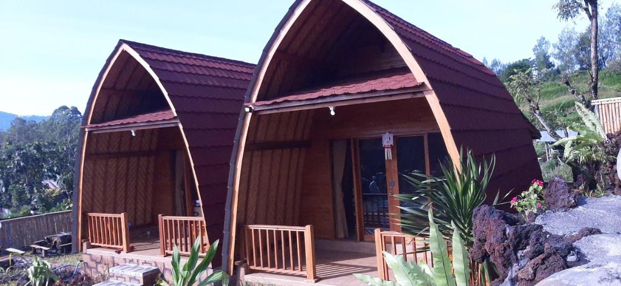 Manik Tirta Cabin'S Kintamani Kültér fotó